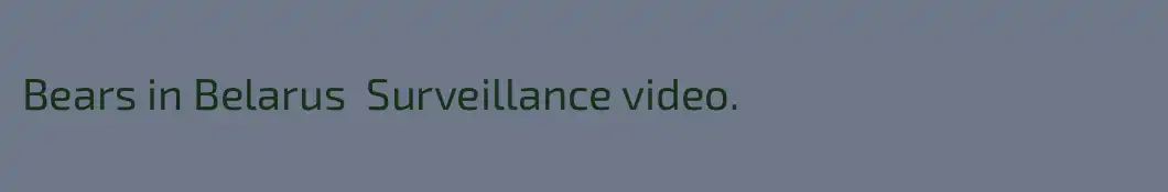 Bears in Belarus  Surveillance video.